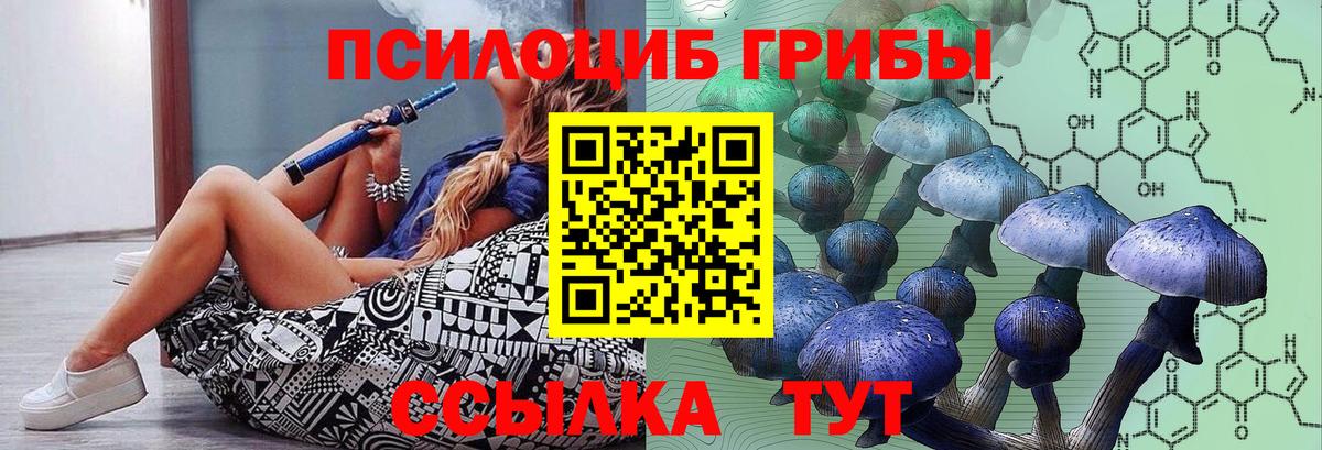 Галлюциногенные грибы Артём