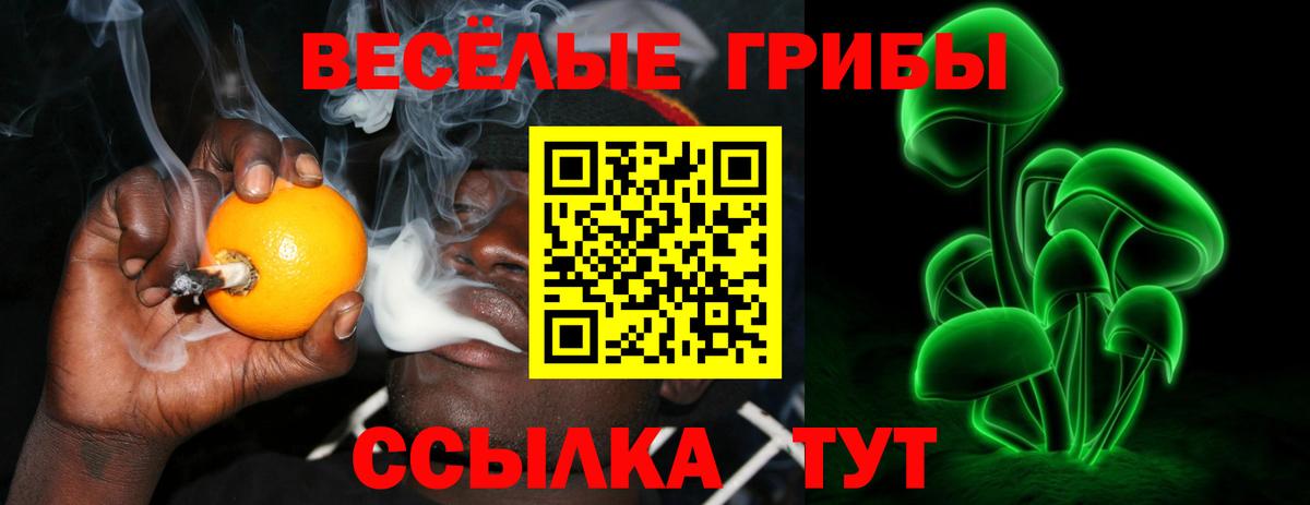 Галлюциногенные грибы Psilocybe  Псилоцибиновые грибы Magic Shrooms  Артём  Вход с VPN 